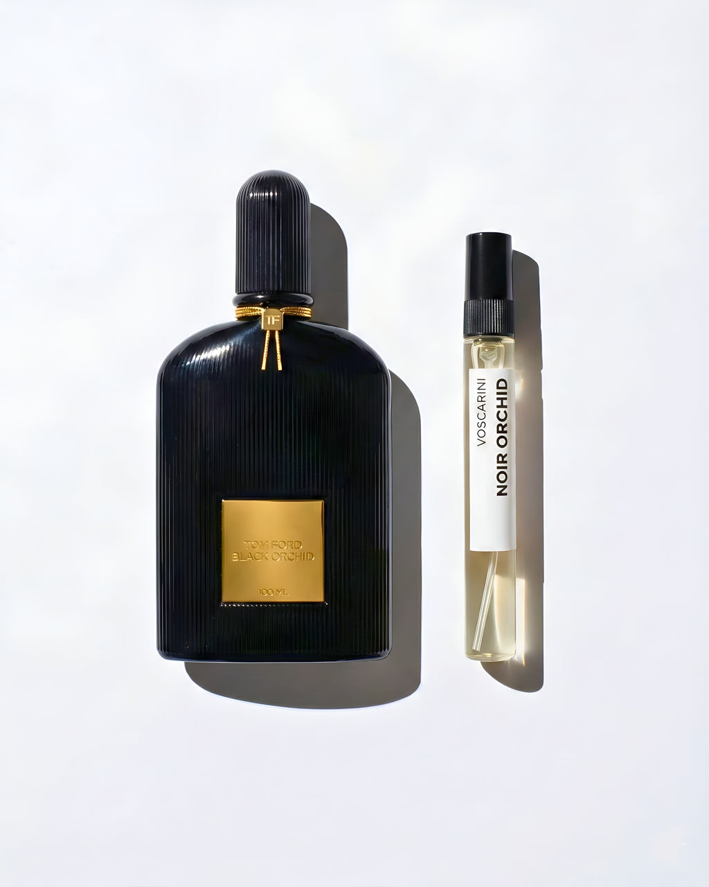 NOIR ORCHID